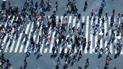 Aerial view of pedestrians walk crossing road intersection junction in downtown. Tokyo, Japan. - Powered by Adobe