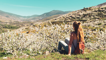 Beautiful panorama of Jerte valley with cherry blossom in Spain- Extremadura © M.studio