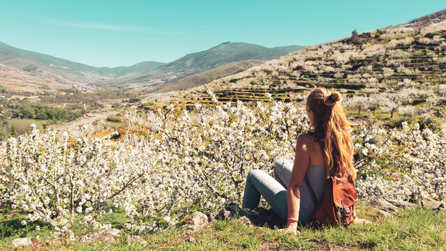 Beautiful panorama of Jerte valley with cherry blossom in Spain- Extremadura
