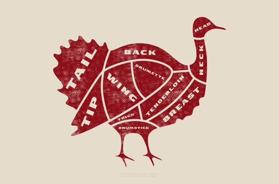 Stock vector turkey cuts diagram in flat style