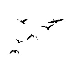 Bird silhouette