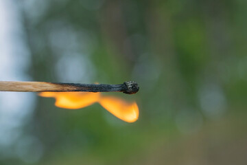 Fire danger in the forest. A close-up of a burning match. Fire Security