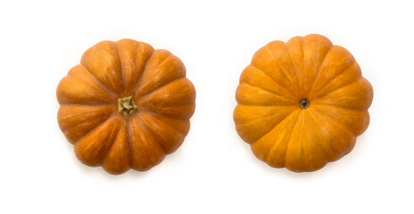 Nutmeg pumpkin on a white background. Top view, flat lay