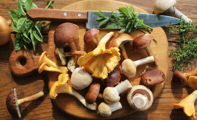 Mix of forest mushrooms on cutting board over old wooden table - obrazy, fototapety, plakaty
