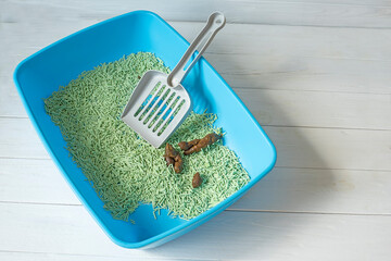 Poop in the kitty litter box and cleaning shovel. Cat litter box with poop on a white wooden...