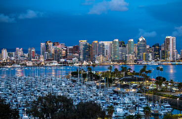 Fototapeta premium San Diego Skyline