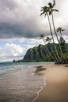 Hawaiian Coast