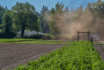 prolonged drought in the botanical garden
