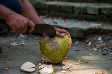 Person cutting coconut with a sharp chopper 