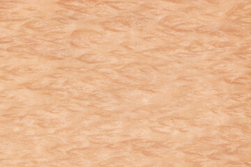Light brown burled wood veneer. Meant as wood textured background.