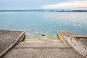Duck swimming on lake seen through steps against cloudy sky