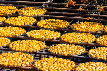 Peeled persimmons drying at outdoor