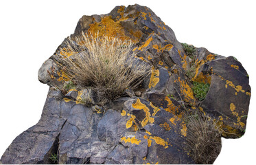 Stone textured with moss and dry grass isolated PNG photo with transparent background.