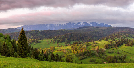 Belianske Tatry mountains and meadows over Osturna village in Slovakia