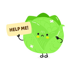 Sick Cabbage asks for help character. Vector hand drawn cartoon kawaii character illustration icon. Isolated on white background. Suffering unhealthy Cabbage character concept
