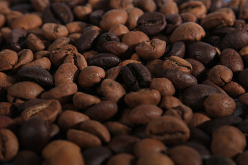 coffee beans close up