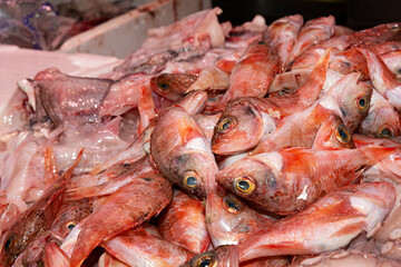 Venta de pescado fresco en puesto del mercado.