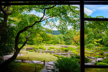 和室から見る日本庭園の借景