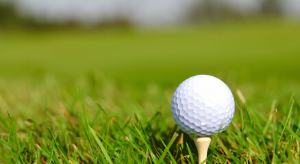 golf ball on the grass