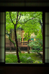 日本の伝統建築物内の障子から見る日本庭園に降る雨