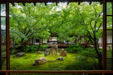 日本の伝統建築物内にある緑の苔や紅葉がきれいな日本庭園
