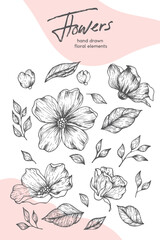 Collection of hand drawn spring flowers and plants. Monochrome vector illustrations in sketch style.