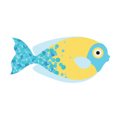 Cute  exotic fish on white background