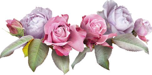 Roses isolated on a transparent background. Png file.  Floral arrangement, bouquet of garden...