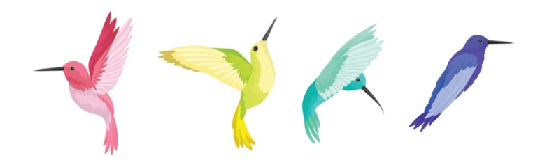 Crédence de cuisine en verre imprimé Colibri Colorful Hummingbird with Long Beak and Bright Feathers Vector Set