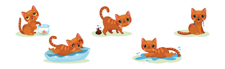 Naughty Kitten in Different Situation as Mischievous Domestic Pet Vector Set