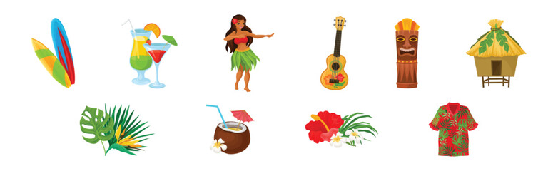 Hawaiian Tropical Objects and Attributes Vector Set © Happypictures