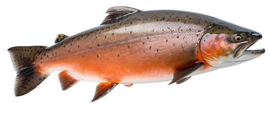 Salmon isolated on the transparent background PNG. AI generative.