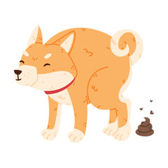 Akita Inu Dog and Domestic Animal or Pet Making Poo Vector Illustration