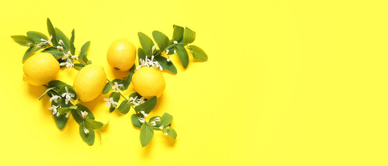 Blooming branches and lemons on yellow background with space for text, top view