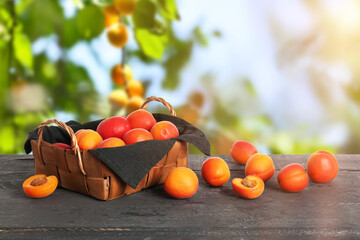 Wicker basket with ripe apricots on table outdoors