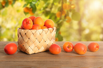 Wicker basket with ripe apricots on table outdoors
