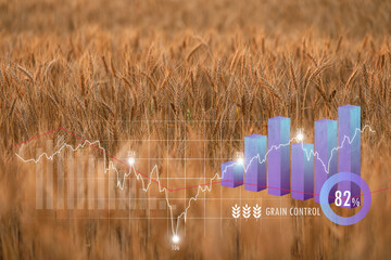 Virtual screen with graphs and in wheat field. Concept of food price