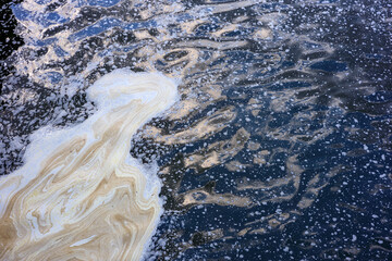 polluted water and foam on it, sewage in the water