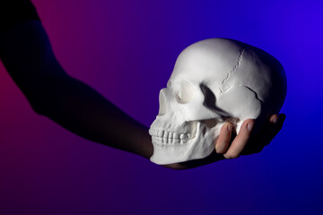a man's hand holds a human skull