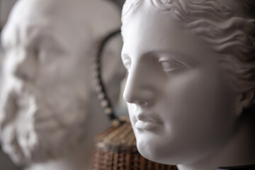 the plaster head of Venus in shallow depth of field