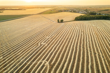 Naklejka premium aerial view of the countryside landscape with rows and a road
