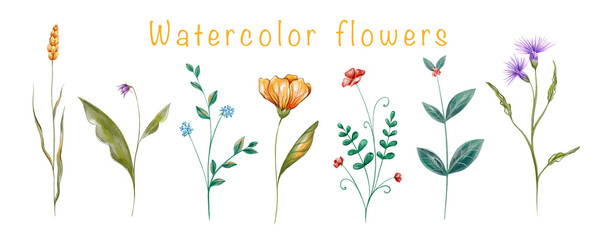 Set watercolor flowers 