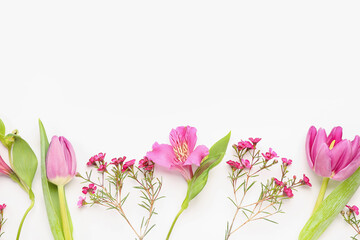 Beautiful pink flowers on white background