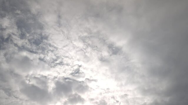 Birds flying around the stratocumulus clouds in the morning