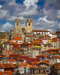 Obraz premium In the historic centre of Porto