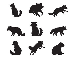 Silhouette raccoon collection - vector illustration - obrazy, fototapety, plakaty