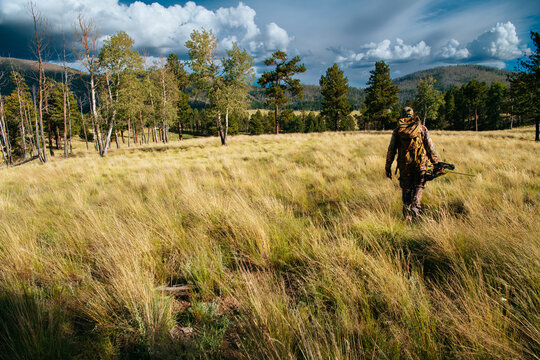 A hunter in camouflage and wearing a backpack walks through a field while bowhunting in the Valles Caldera National Preserve, New Mexico