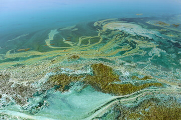 Bright blue-green algae (cyanobacteria) on water and beach sand. Close-up of a harmful algal blooms and decay. Abstract background with green toxic texture.