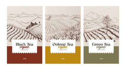 Three vintage tea labels design template