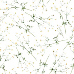 Obraz na płótnie Canvas seamless pattern of yellow flower meadow buttercup known as Ranunculus acris, sitfast, spearworts or water crowfoots. Watercolor hand drawn painting illustration isolated on white background
